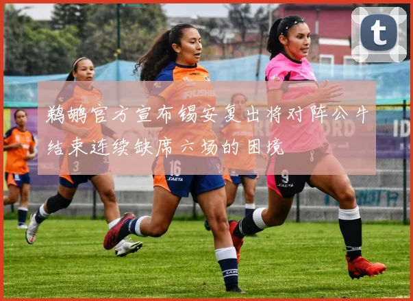 鹈鹕官方宣布锡安复出将对阵公牛结束连续缺席六场的困境