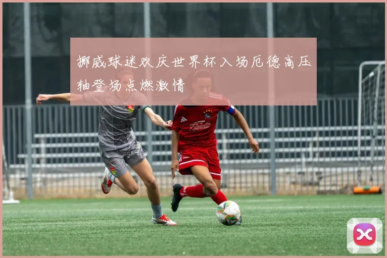挪威球迷欢庆世界杯入场厄德高压轴登场点燃激情