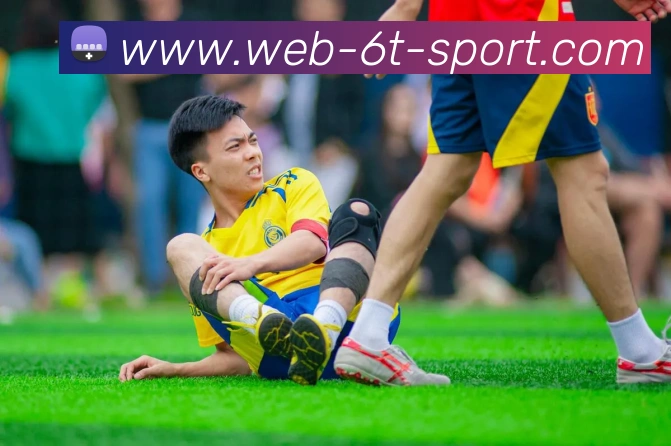 6T体育发展历程